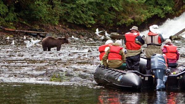 Passengers in red life jackets on an Alaska cruise photograph a bear on the shore