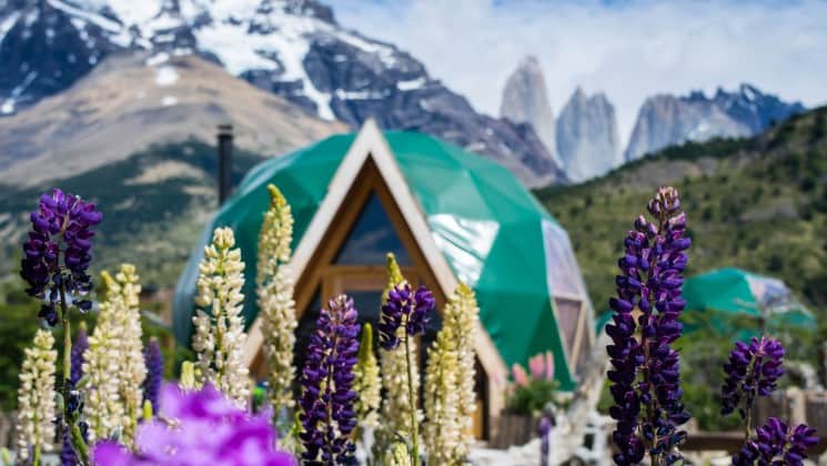 A dome at EcoCamp in Patagonia, Chile, with lupine flowers in the foreground and snow-covered mountains in the background