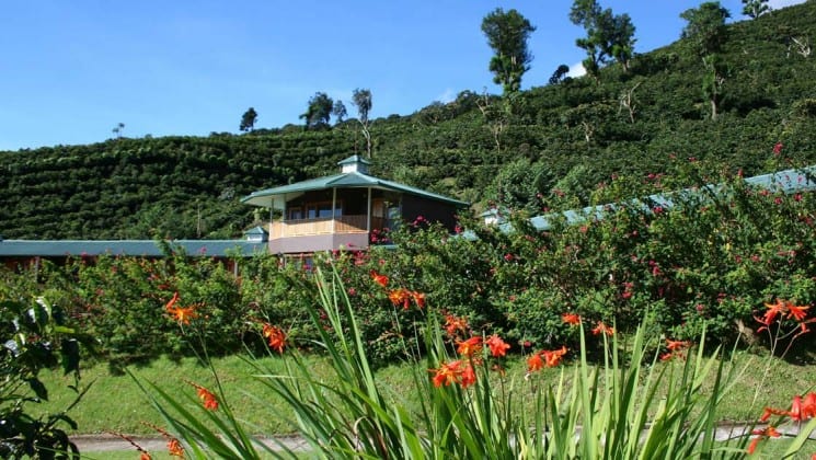 Vibrant flowers and trees surround Finca Lerida Lodge in Panama