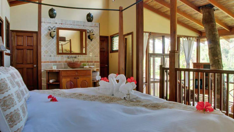 Large bed topped with fresh flowers and decorative towels in large, window-filled room with a tree growing through main living space in riverview room at Caves Branch Jungle Lodge in Belize