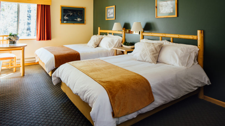 A standard room with two full beds, a green wall, wood furniture, and a window streaming with bright light at the Seward Windsong Lodge, an exceptional Alaska wilderness retreat.