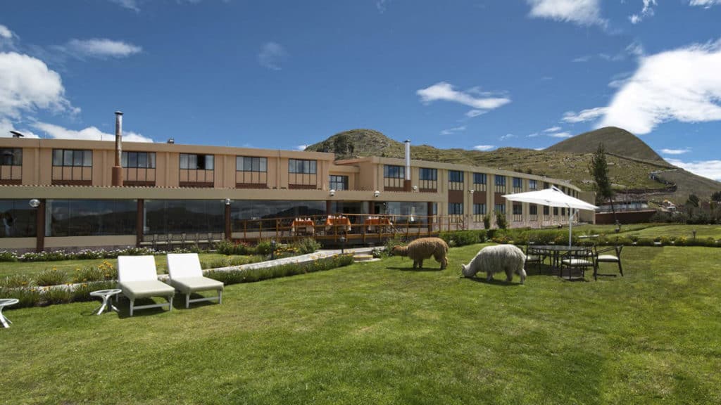 Llamas and white lawn chairs on green grass in front of Sonesta Posada del Inca Lake Tiiticaca, a traditional hotel in the Andes