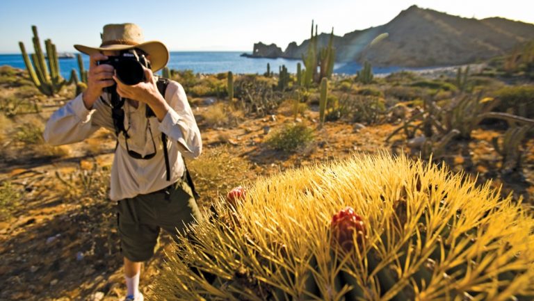 Man wearing neutal colored safari clothing stnads on shore in Baja taking photos of the surrounding cactus plants.