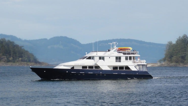 Safari Quest Luxury Alaska Small Ship Adventuresmith Explorations