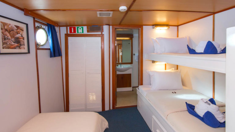 Cabin 1 triple aboard Beluga with bunk beds, extra twin bed, and bathroom.