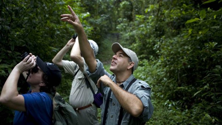 travelers with binoculars look and point upwards in the jungle on the best of panama land tour