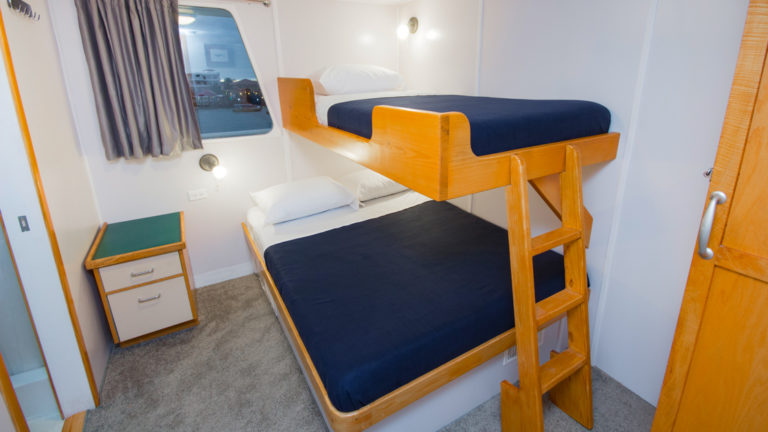 Cabin 2 aboard Cachalote Explorer with bunk beds and window.