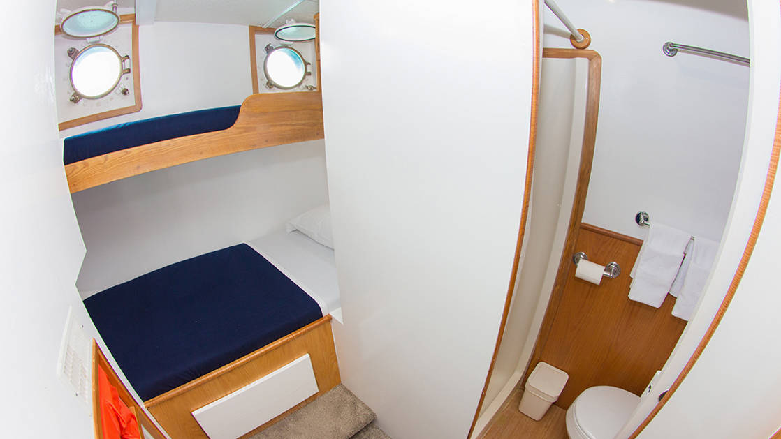 Cabin 8 aboard Cachalote Explorer with bunk beds, porthole, and view of bathroom.