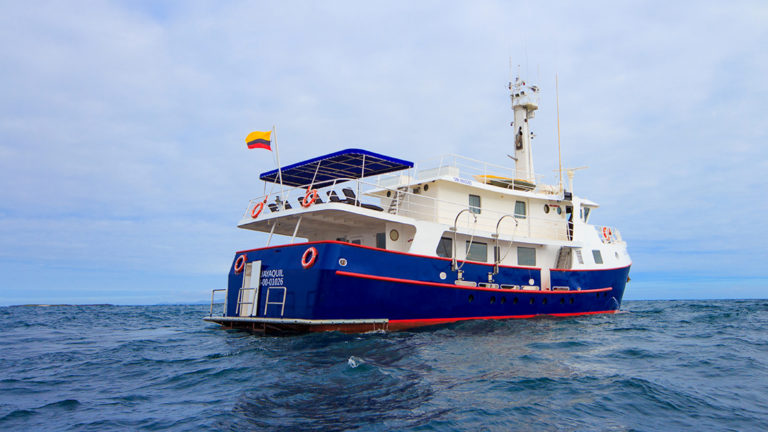Stern of Cachalote Explorer cruising in the Galapagos.