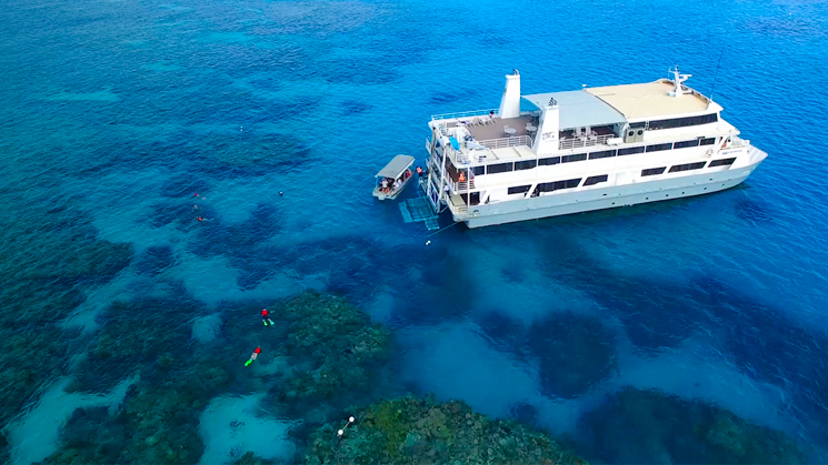 Aerial view of starboard side of Coral Expeditions II with snorkelers at the Great Barrier Reef