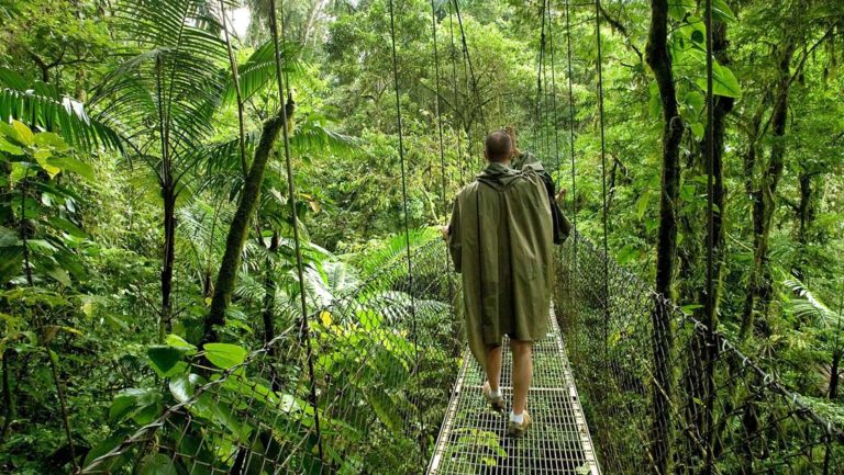 traveler walking on a sky bridge in the jungle canopy on the Crossing the Panama Canal: Treasures of Costa Rica cruise trip