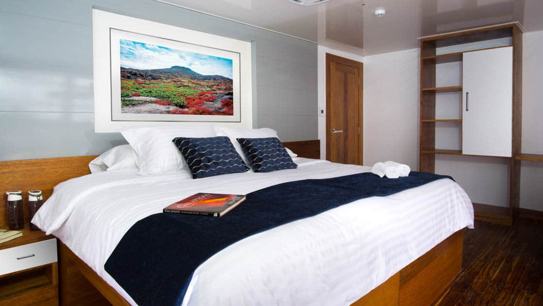 Galapagos Infinity suite with king size bed, seating area, desk and nightstand.