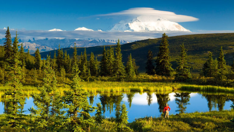 A forested scene at Camp Denali, a wilderness lodge in Alaska with deep ties to the national park, with a pond reflecting pine trees and a blue sky.