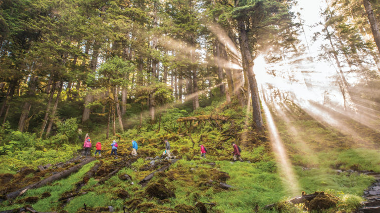 Group of small ship cruise passengers hiking Cascade Creek Trail, Thomas Bay in the Tongass National Forest of Alaska