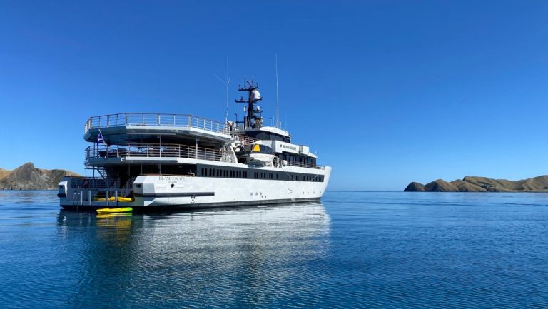 Island Escape super yacht floats in calm water in New Zealand's Fiordlands, with white hull, dark wraparound windows & modern tech.