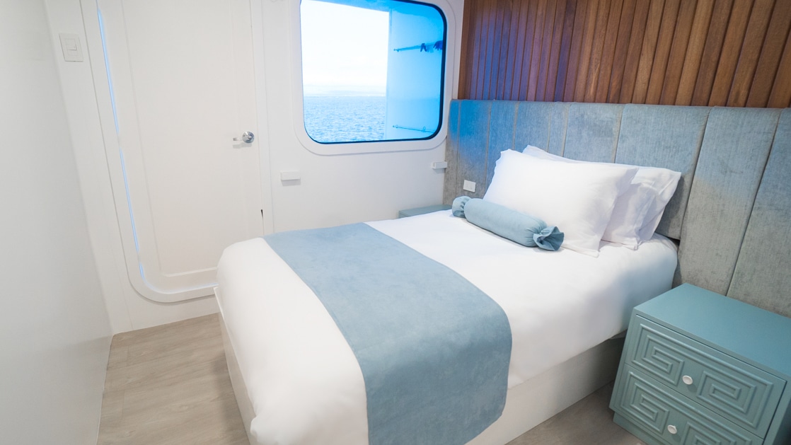 Small single cabin with window, white walls, wooden accents & twin bed covered in white & blue linens aboard catamaran Ocean Spray.
