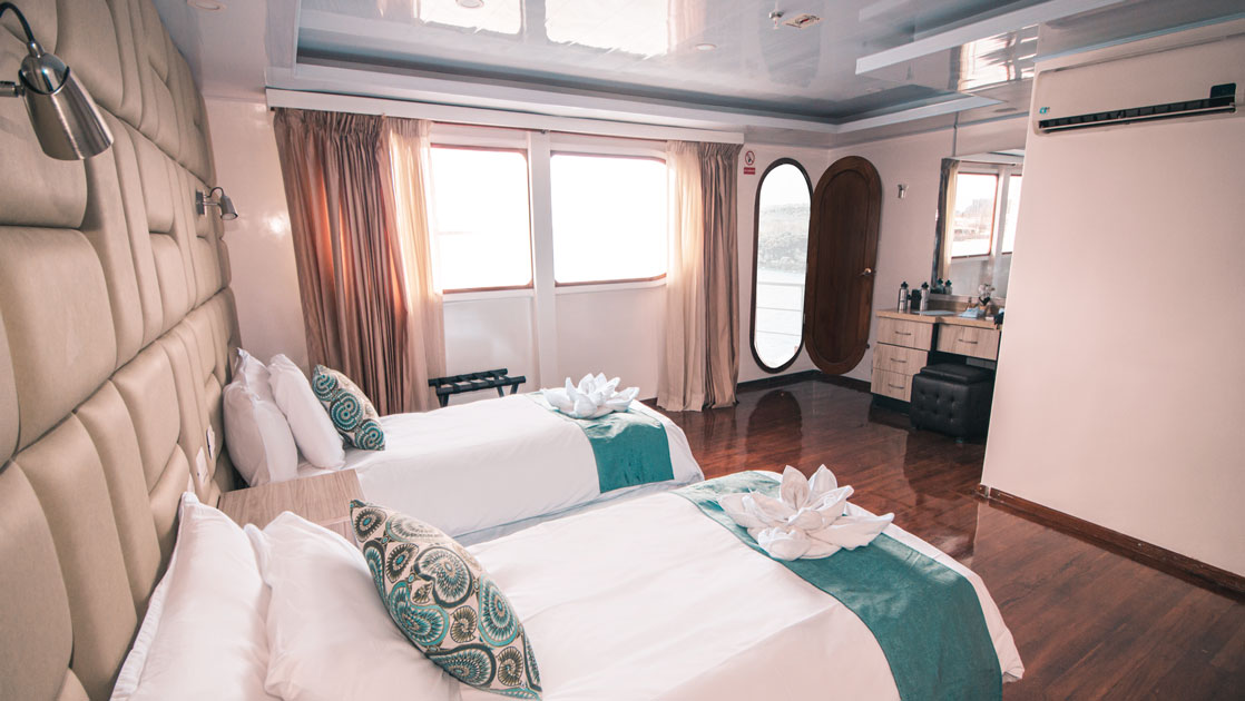 Standard cabin on Petrel boat in Galapagos with 2 twin beds, view windows, wood flooring, white walls & bedding & teal accents.