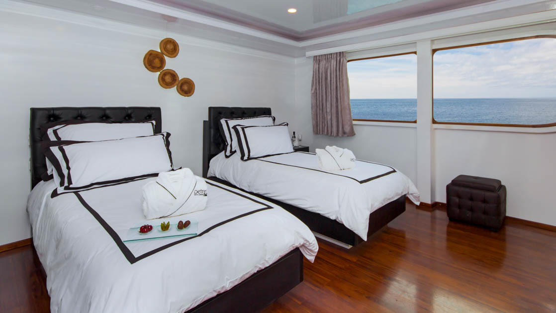 cabin with hardwood floors and a large window aboard petrel galapagos luxury catamaran