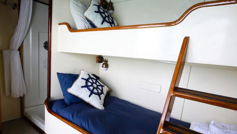 Twin bunk beds with wooden ladder, shower in Stateroom 4 aboard Sea Wolf yacht in Alaska