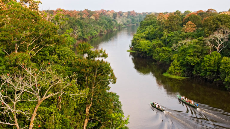Aerial view of two canoes going down a calm river through the jungle in brazil