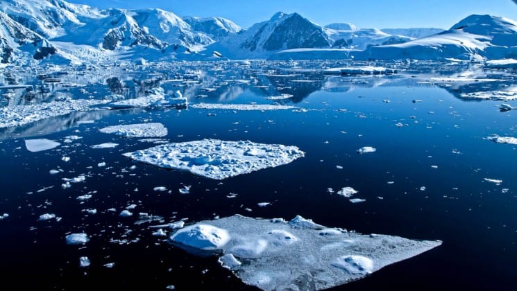 Icebergs float in deep blue water in antarctica