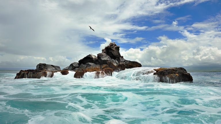turquoise ocean surrounds rocks sticking out of it on a partly cloudy day as a galapagos seabird flies above