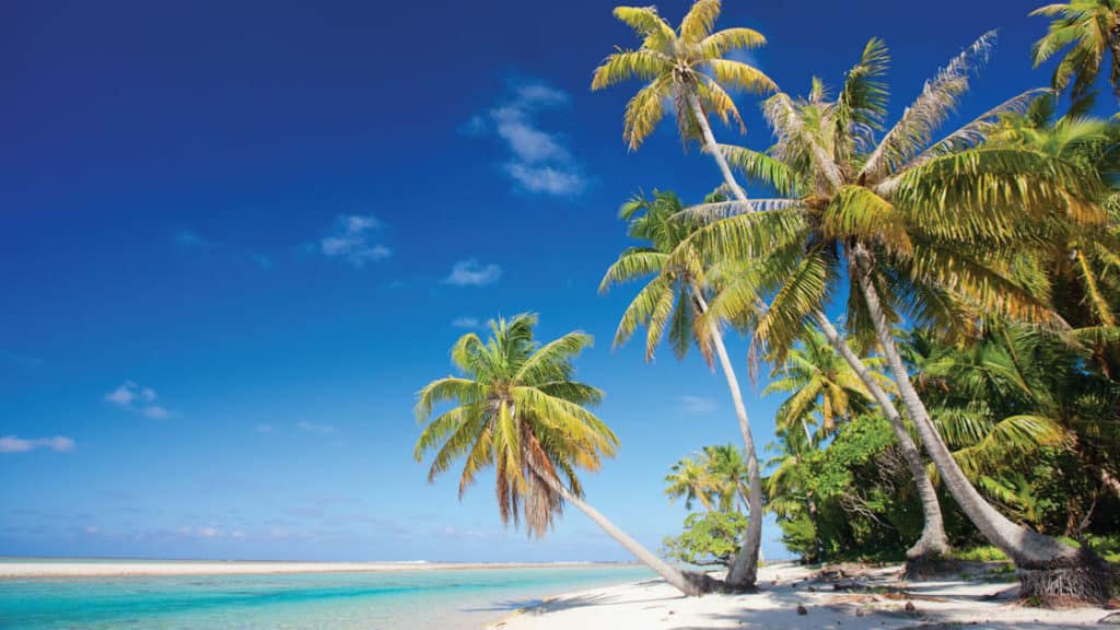 Beautiful white sand beach with palm trees jutting out over turquoise water in the Pacific Islands