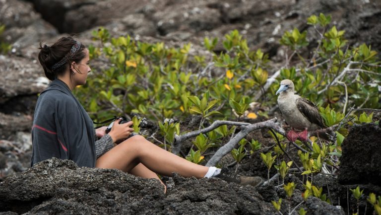 A female traveler sits on lava rock with camera in hand as a red footed booby bird perches on a low hanging mangrove tree in front of her.