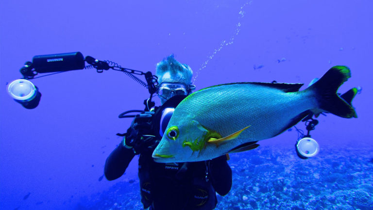 scuba diver taking a picture of a large fish with a high tech camera setup in french polynesia pacific islands