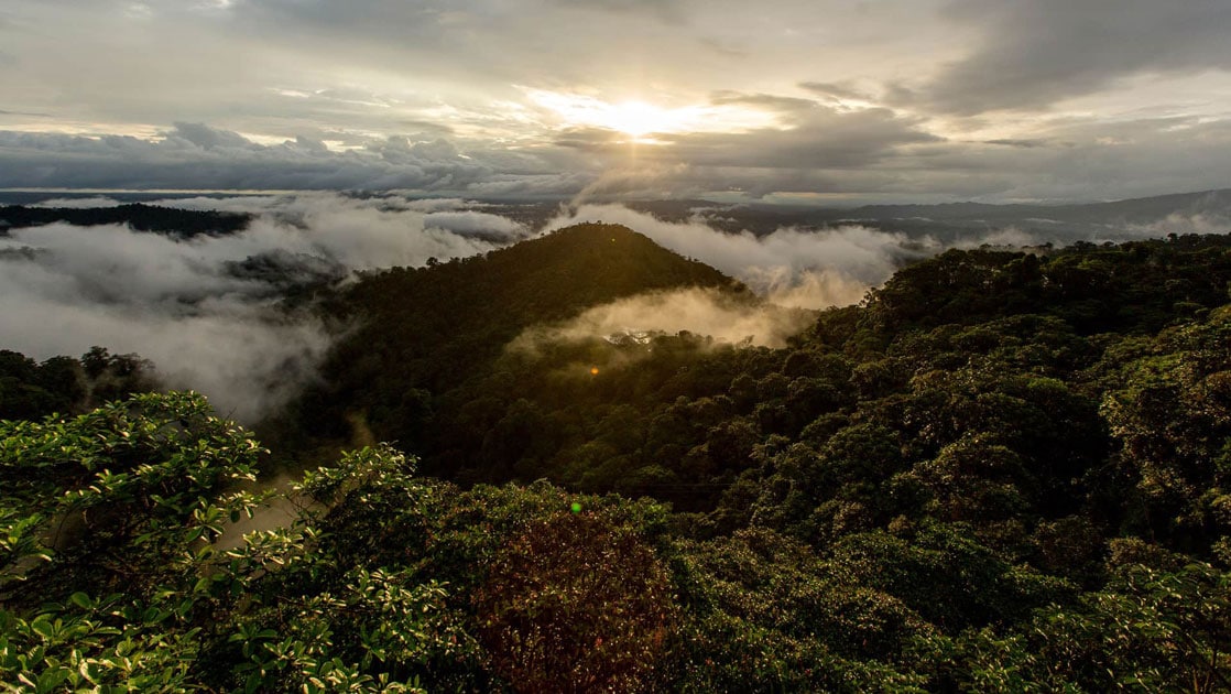 Aerial view of green mountains covered in loy-lying clouds at sunrise, seen on the Mashpi Rainforest Tour in Ecuador.
