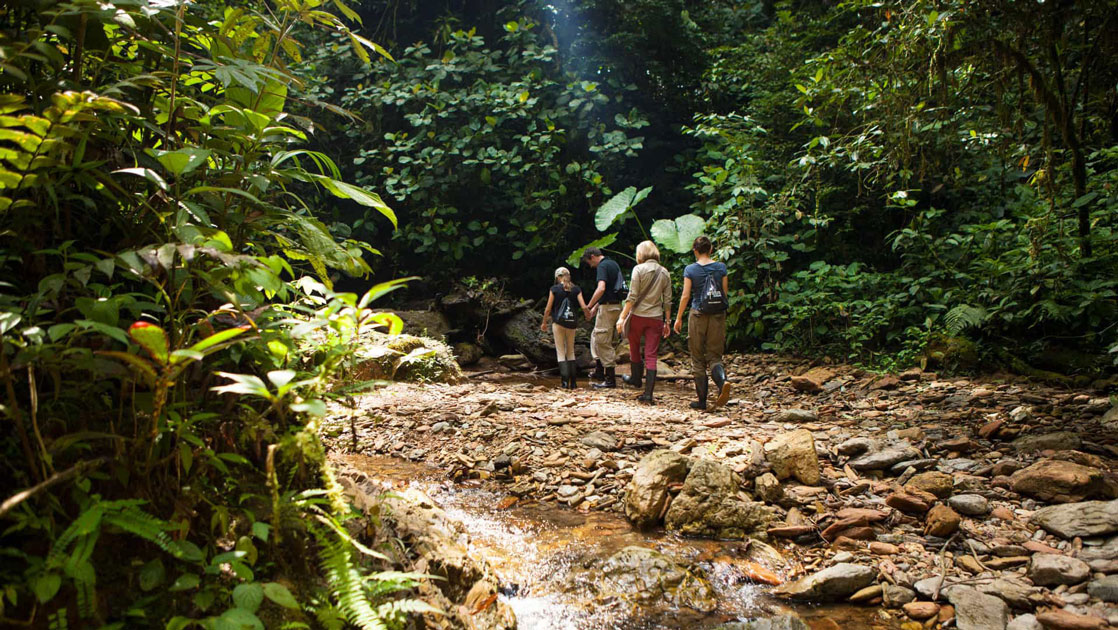 Family walks in a low-water riverbed through the lush, green cloud forest jungle on the Mashpi Rainforest Tour.