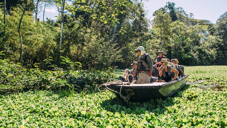 Open-air aluminum boat with 10 travelers & 1 guide floats through dense aquatic foliage beside the jungle forest in the Amazon.