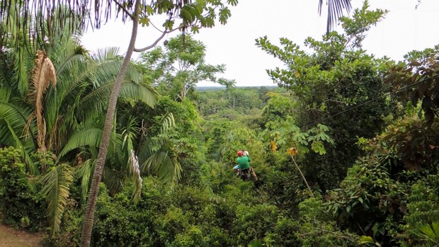 Ziplining in the rainforest.