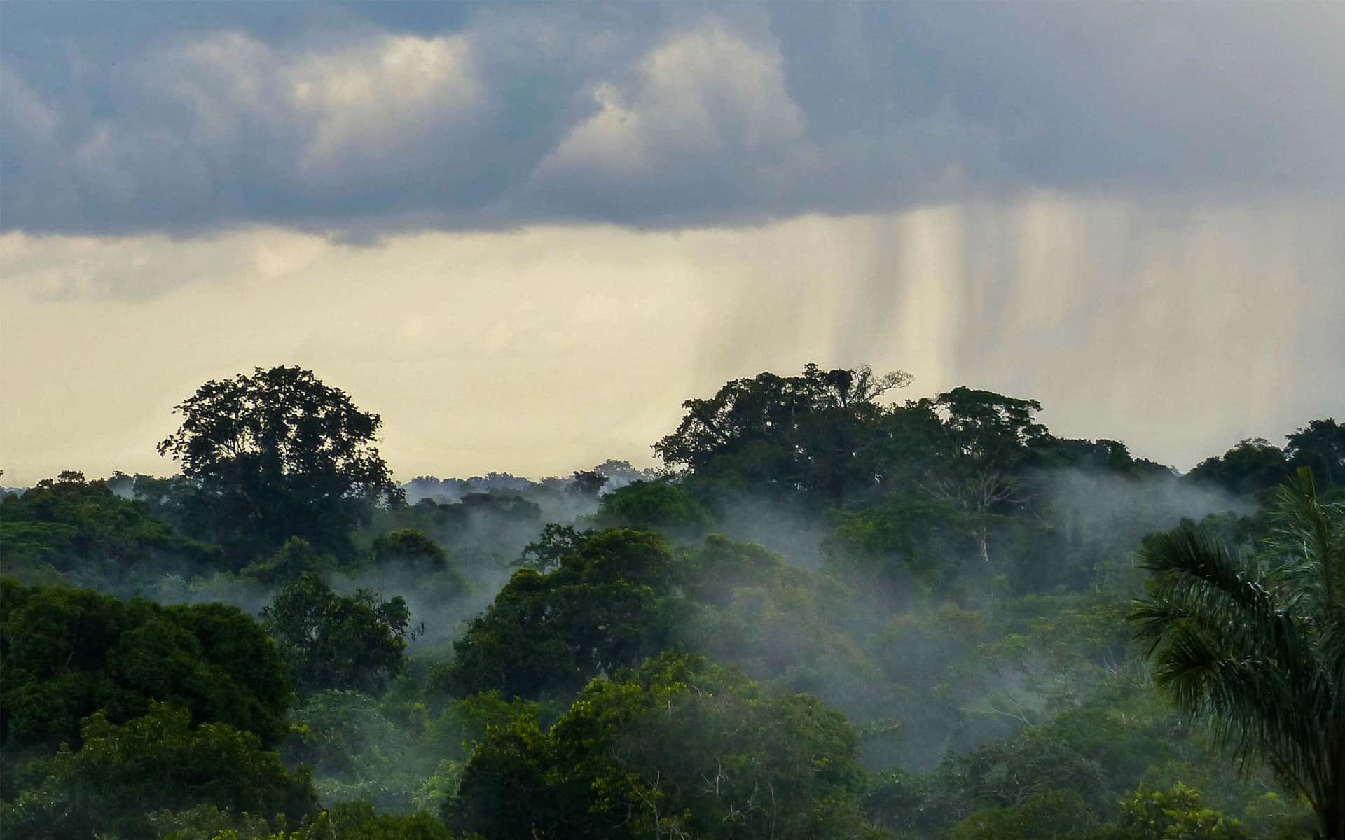 Amazon Climate Information for Travelers AdventureSmith Explorations