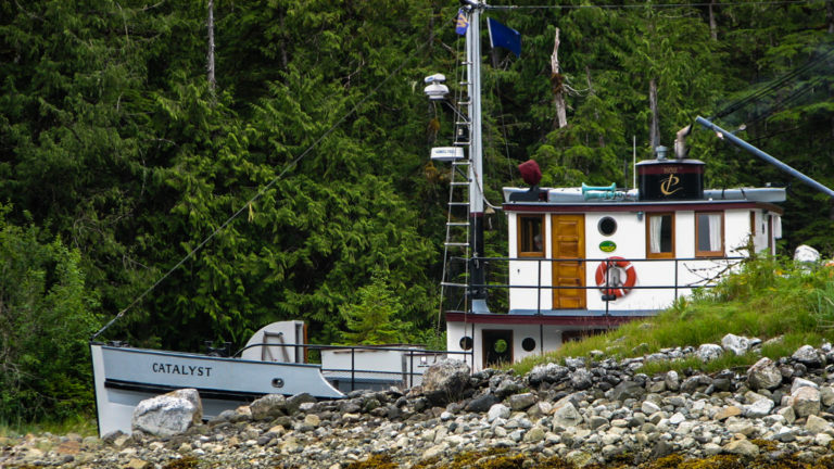 Historic motor vessel Catalyst tucked into an inlet beside lush green forest in Alaska.