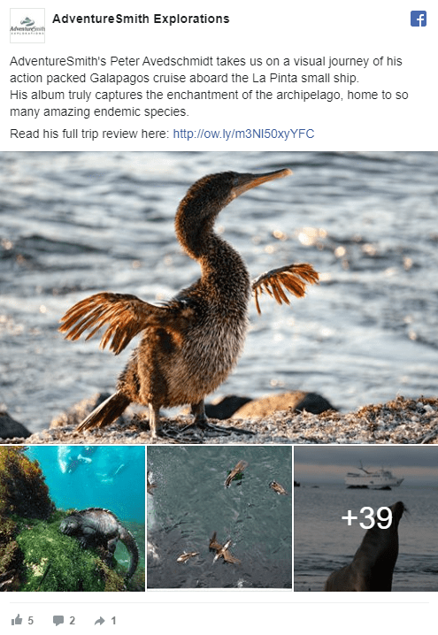 facebook photo gallery screenshot of a Galapagos cruise expert review aboard la pinta small ship by Adventure Specialist Peter Avedschmidt