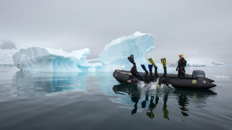 3 polar snorkelers launch backwards off the side of a Zodiac sitting in glassy water on a cloudy day during the Spirit of Antarctica expedition.