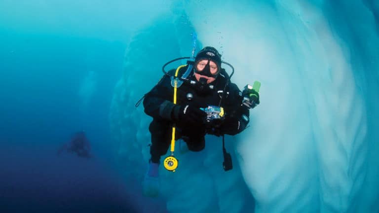 A polar diver looks up from beside a large chunk of underwater iceberg during the Active & Wild Antarctica Air Cruise.