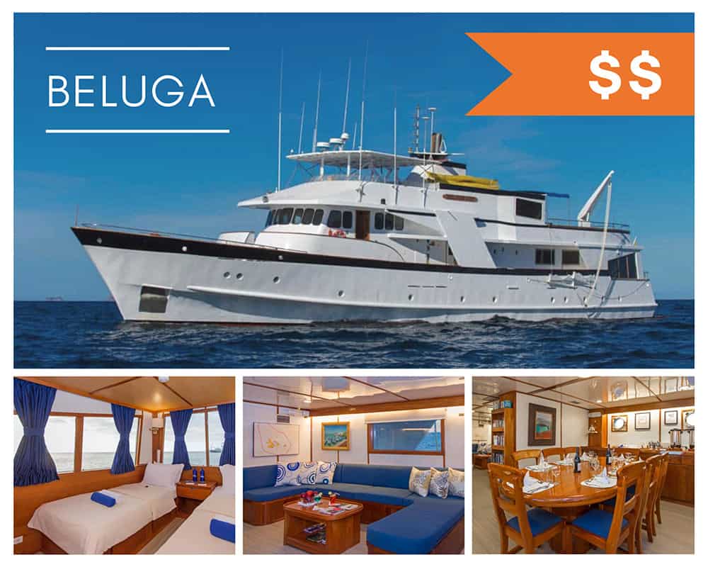 A photo collage featuring exterior and interior images of the Beluga a Galapagos small ship