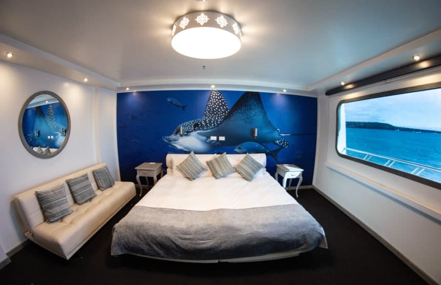 Cabin 4 aboard Camila Galapagos trimaran, all white except for a giant wildlife mural on one side, a circular mirror and a panoramic window on the others.