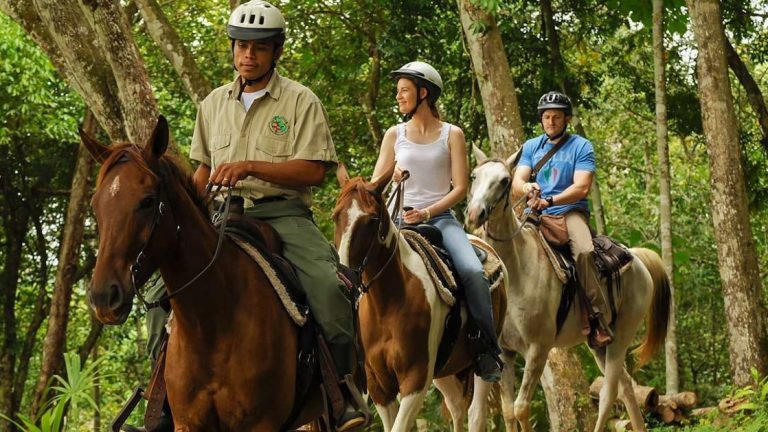 A couple following behind their guide on a horseback riding jungle tour in Belize.