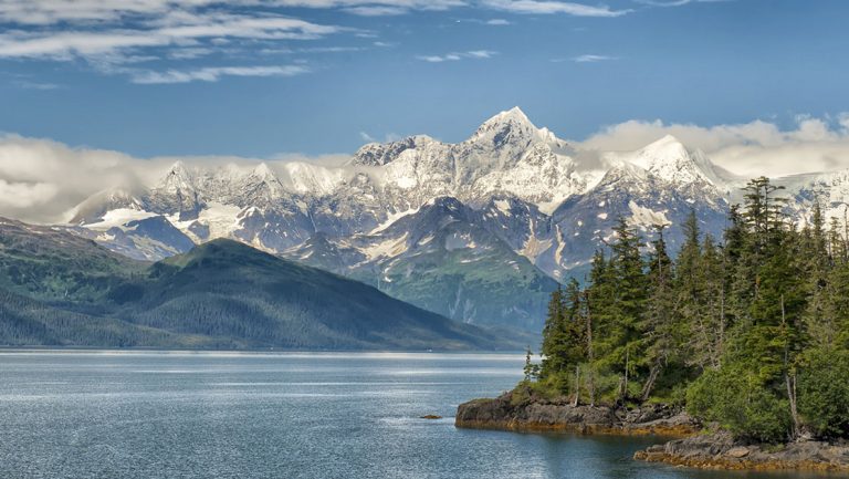 Calm water sits beside tall green fir trees & snow-covered peaks in the background, in Prince William Sound, Alaska.