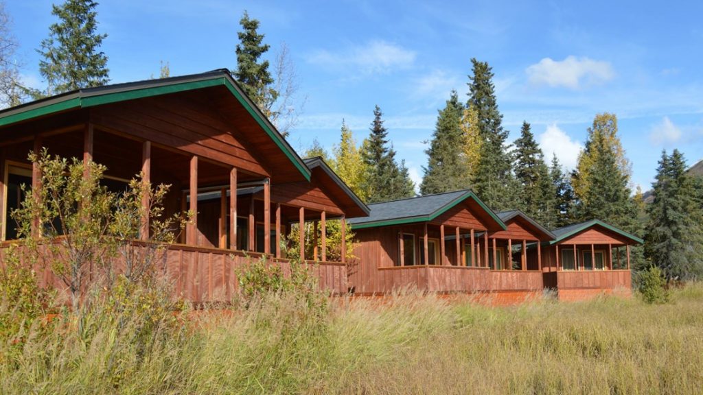 5 rustic lakefront cabins made of wood & dark green metal roofs sit amongst tall grass with tall pine trees behind on a sunny day.