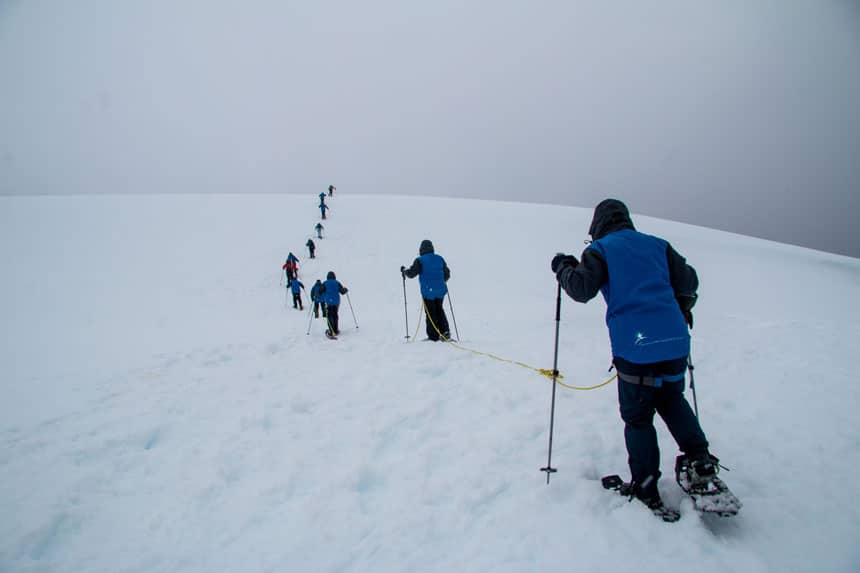 Snowshoers roped together by a yellow rope & harnesses walk up a snow field in black pants & blue jackets, holding trekking poles.