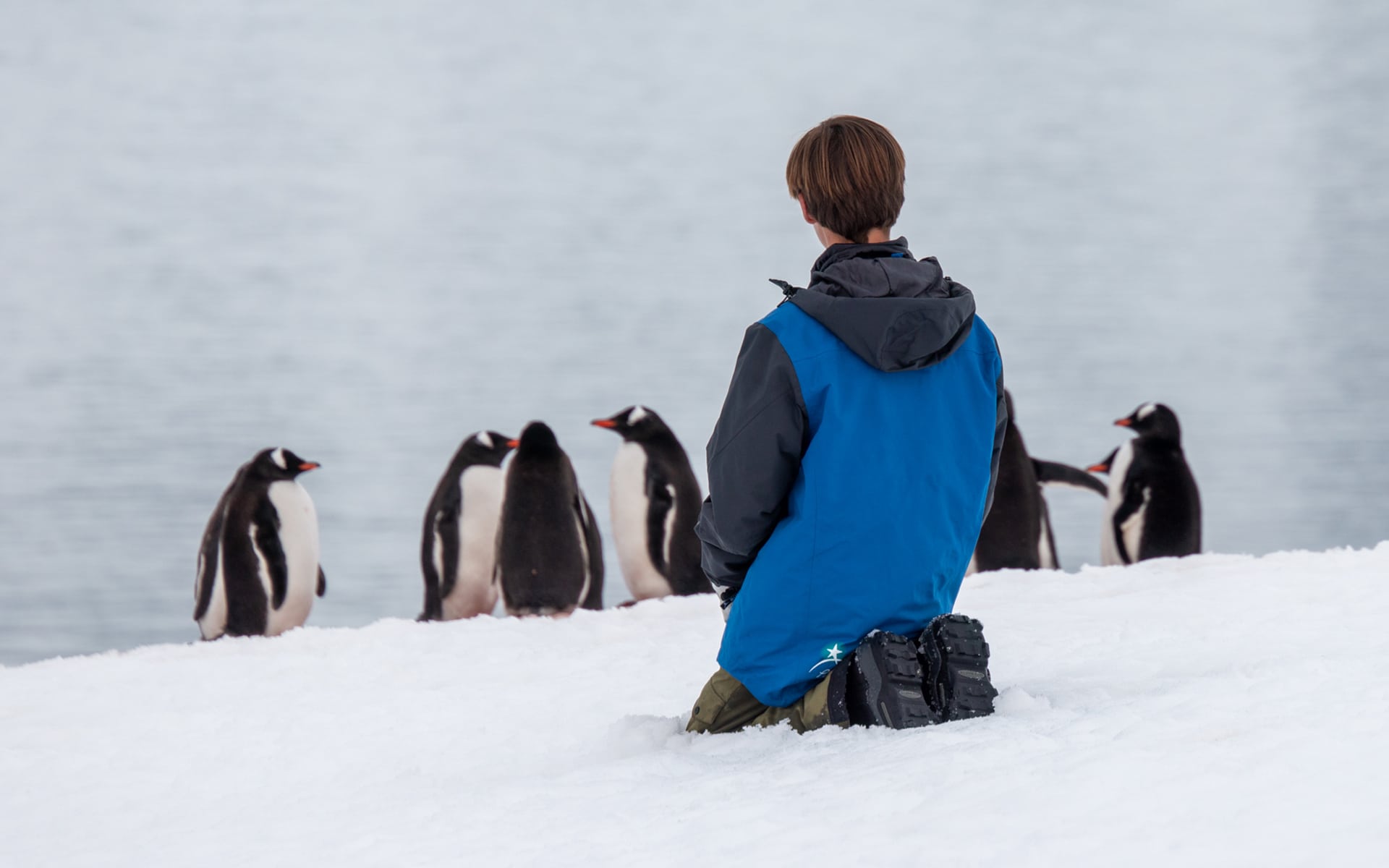 Can You Visit Antarctica? And Why Go | AdventureSmith Explorations