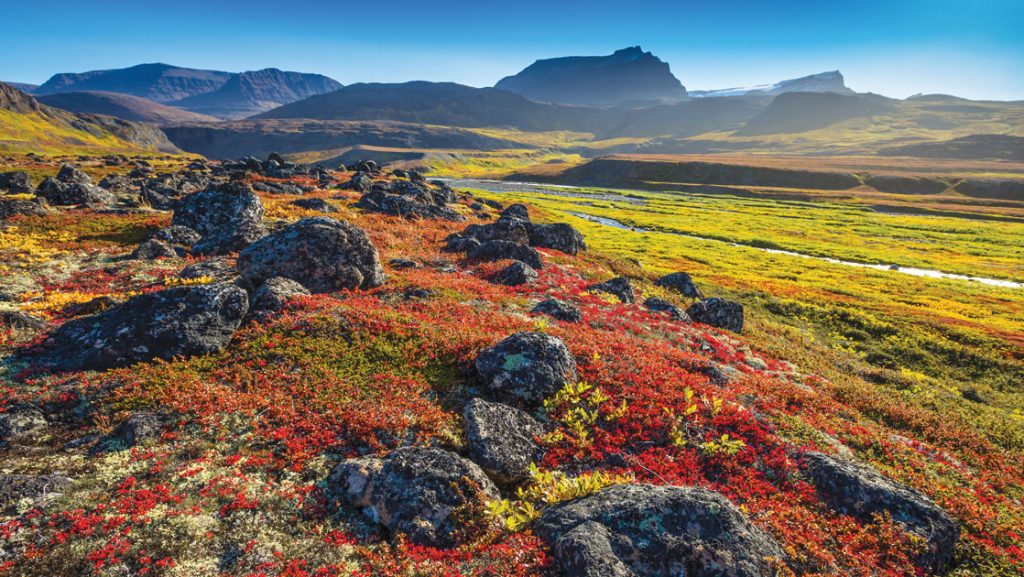 Arctic tundra of red, orange, gold & bright green under a misty blue sky, seen during the Iceland & Greenland: Edge of the Arctic Cruise.
