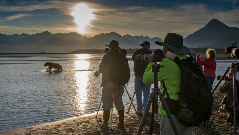 Alaska travelers stand on a beach in late afternoon with cameras on tripods, photographing a brown bear in the water.