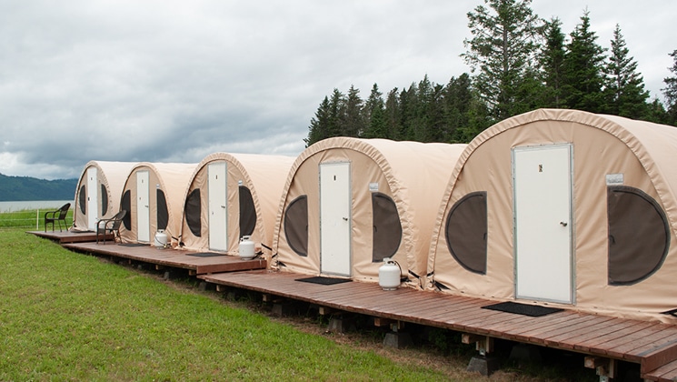 Raised platform & front doors of camp with 5 modern beige hoop tents set amongst forest in Alaska.