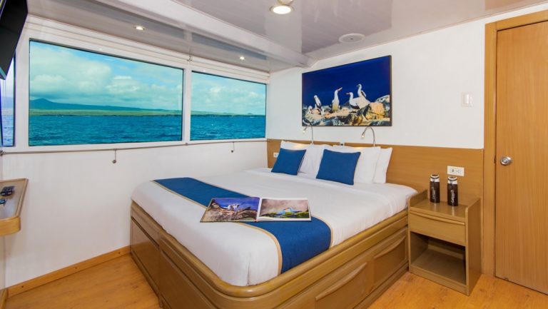 Matrimonial bed with white & blue linens in light-wood-accented cabin with view windows & TV on Calipso yacht in Galapagos.