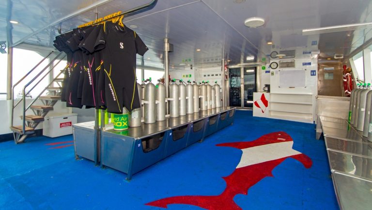 Dive deck on Calipso yacht in Galapagos with wetsuits hanging, tanks atop metal benches, PADI shark logo floor & open air design.